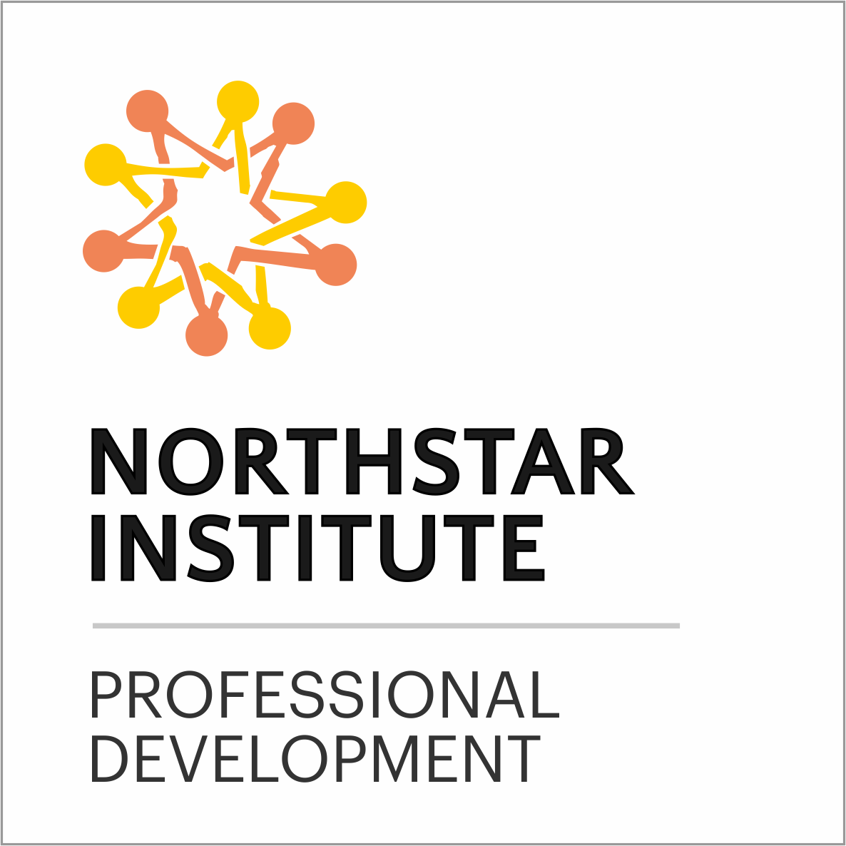 northstar institute logo